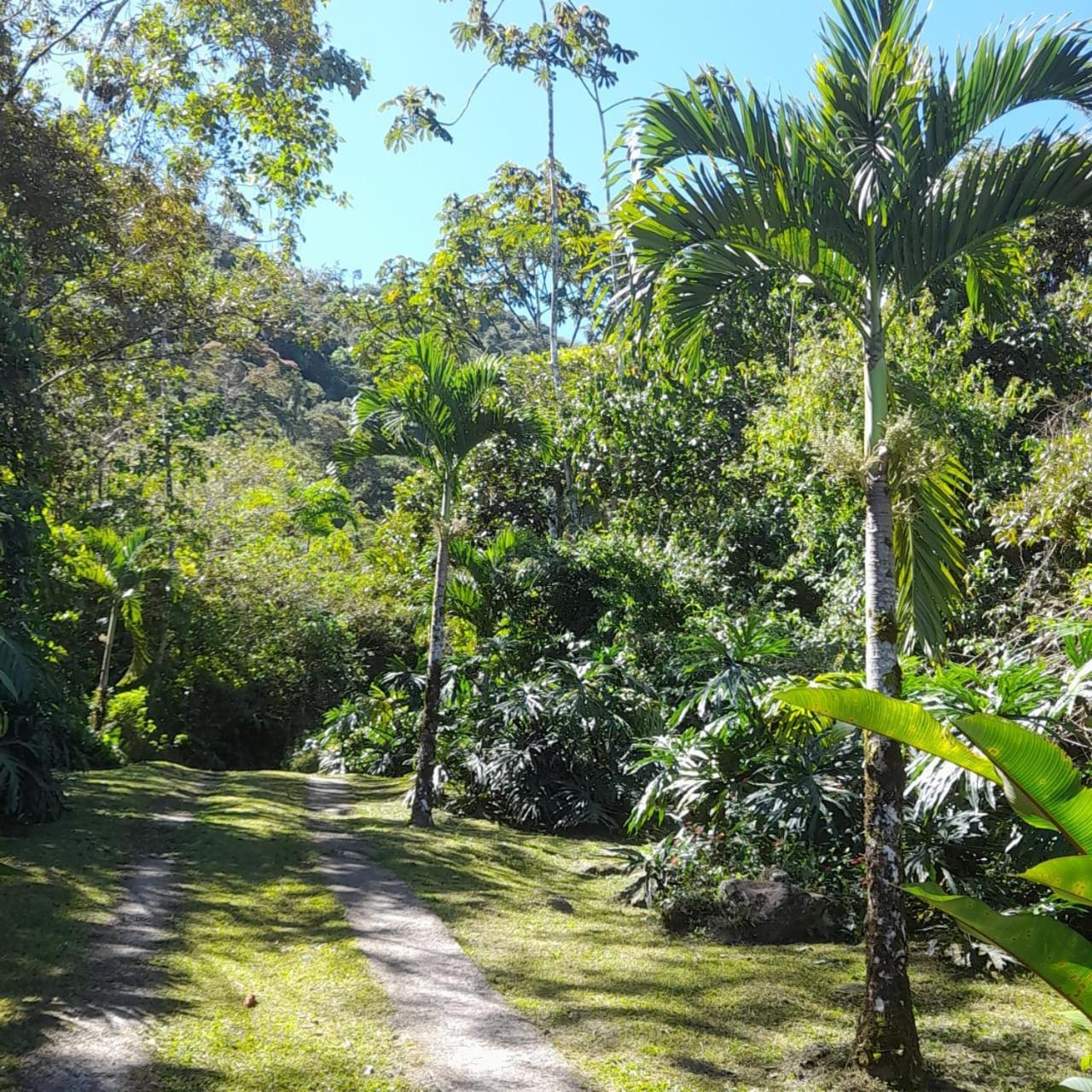 Corredores Del Pacuare La Suiza Buitenkant foto